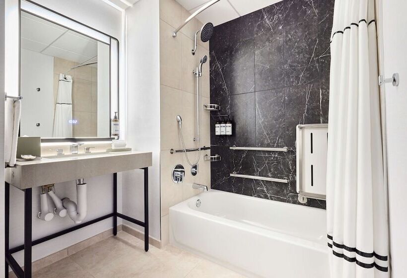 Quarto Estandar Cama Casal para Deficientes Físicos, Hyatt Regency Chicago
