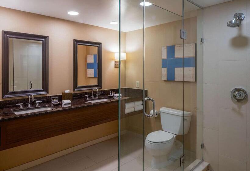 Люкс, Hyatt Regency Greenwich