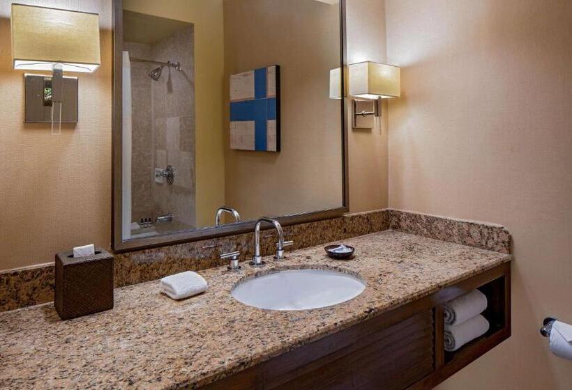 Номер Deluxe, Hyatt Regency Greenwich