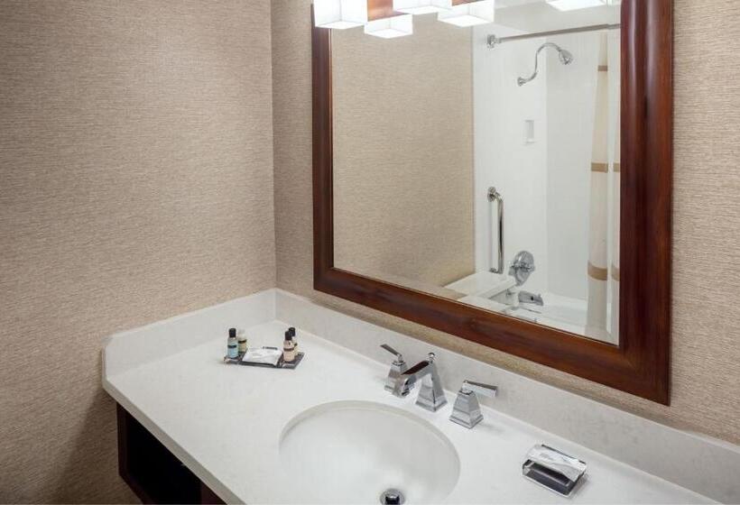 Pokój Standard Łóżko King Size, Indianapolis Marriott East