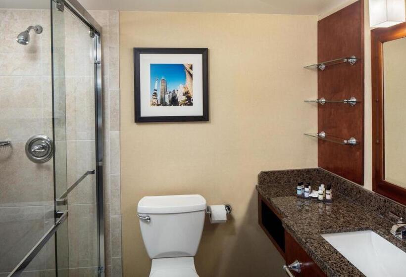 Suite Łóżko King Size, Indianapolis Marriott East