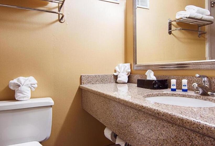 Номер Стандарт Адаптированный для Инвалидов, Quality Inn & Suites East Syracuse  Carrier Circle