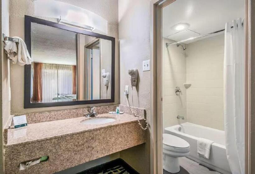 带大床的标准间, Quality Inn & Suites