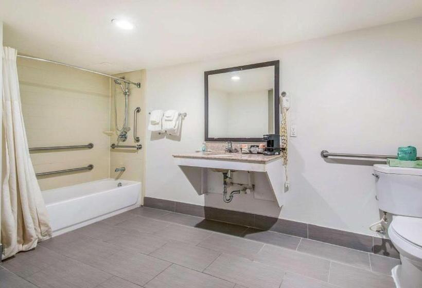 适合残疾人士使用的带超级大床的标准间, Quality Inn & Suites