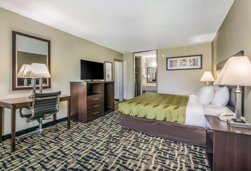 带大床的套房, Quality Inn & Suites