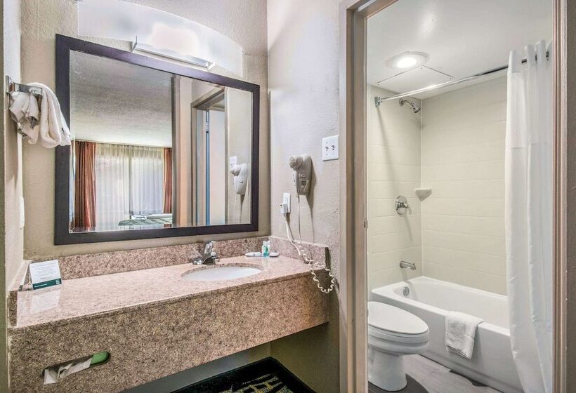 带2个双人床的标准工作室, Quality Inn & Suites
