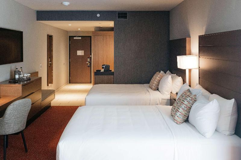 带大床的套房, Quality Inn & Suites