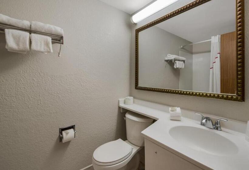 سوئیت با تخت بزرگ, Red Roof Inn And Suites Newark   University