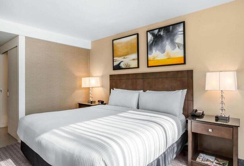 Quarto Estandar Cama King para Deficientes Físicos, Voco Laguna Hills
