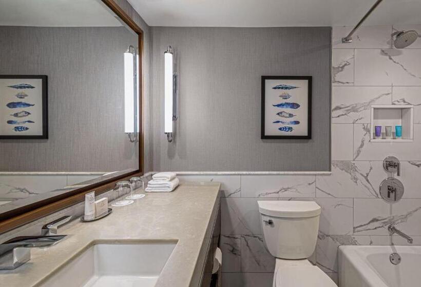 带观景的标准间, Boston Marriott Long Wharf