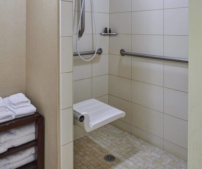 Номер Стандарт 2 Двуспальные Кровати, Detroit Marriott Livonia