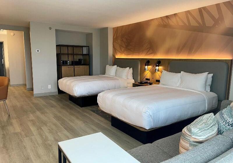 חדר סטנדרט, Houston Marriott North