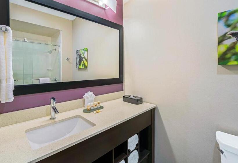 スタンダードルーム, La Quinta By Wyndham Mcallen La Plaza Mall