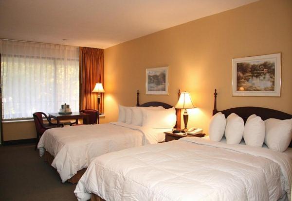 Deluxe Szoba, Mansion View Inn & Suites