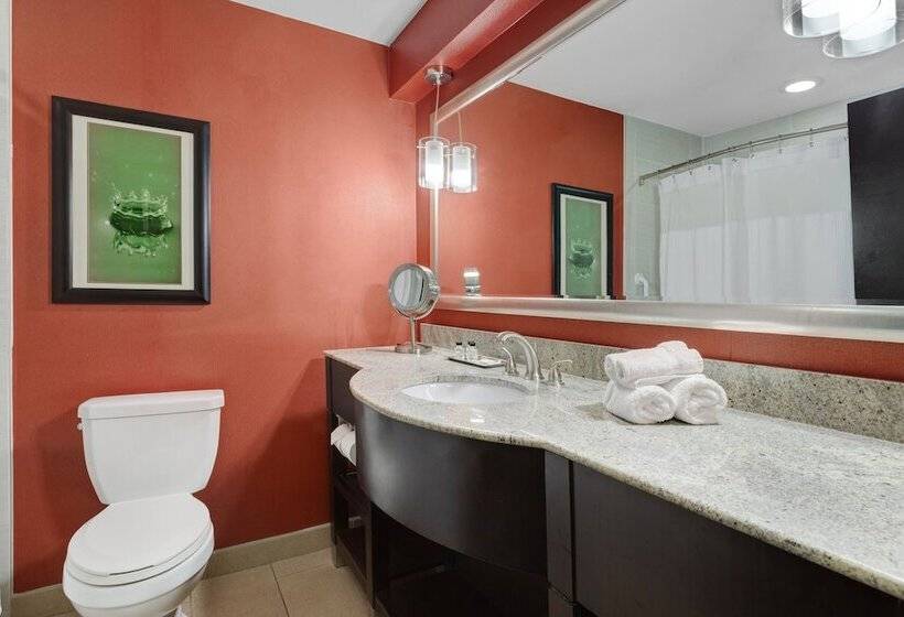 スイート, Crowne Plaza Houston Galleria Area, An Ihg