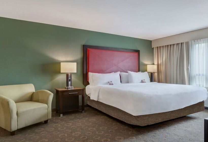 スタンダードルーム, Crowne Plaza Houston Galleria Area, An Ihg