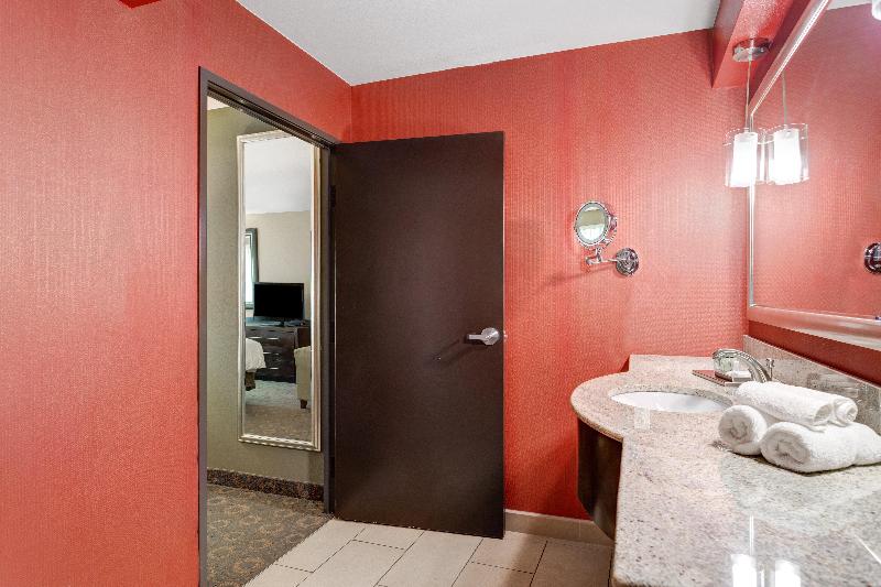 キングサイズベッドのスタンダードルーム, Crowne Plaza Houston Galleria Area, An Ihg