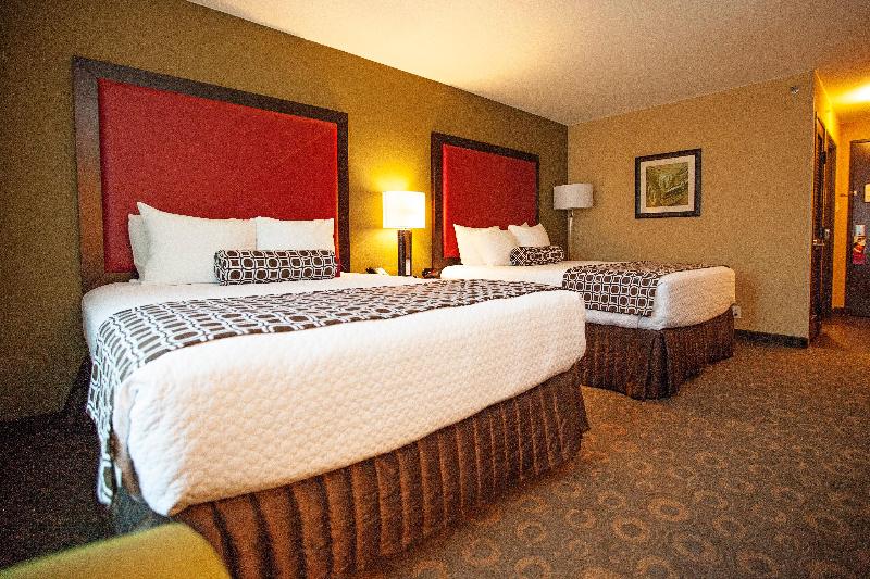 キングサイズベッドのスタンダードルーム, Crowne Plaza Houston Galleria Area, An Ihg