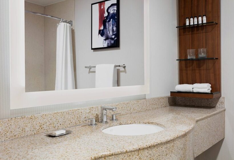 Люкс, Delta Hotels By Marriott Burlington
