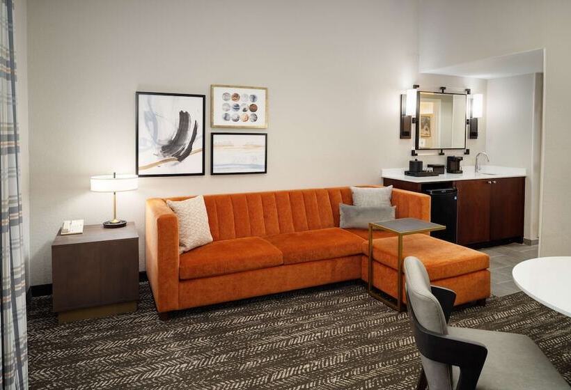 スタンダードルーム, Embassy Suites By Hilton Orlando North