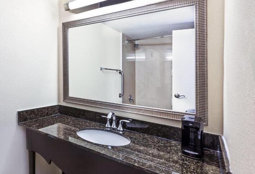 Стандартный Номер Кровать Кинг, Holiday Inn Tyler   Conference Center, An Ihg