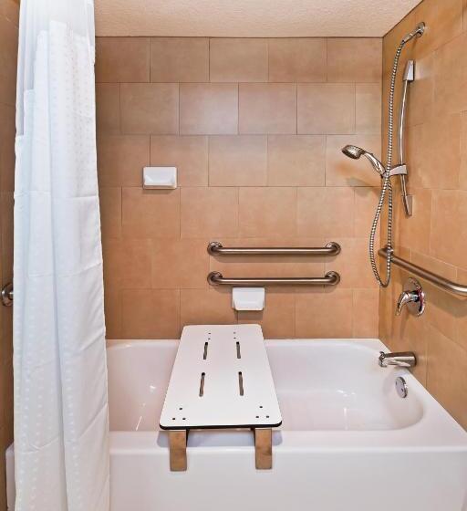 Номер Стандарт Кровать Кинг Адаптированный для Инвалидов, Holiday Inn Tyler   Conference Center, An Ihg