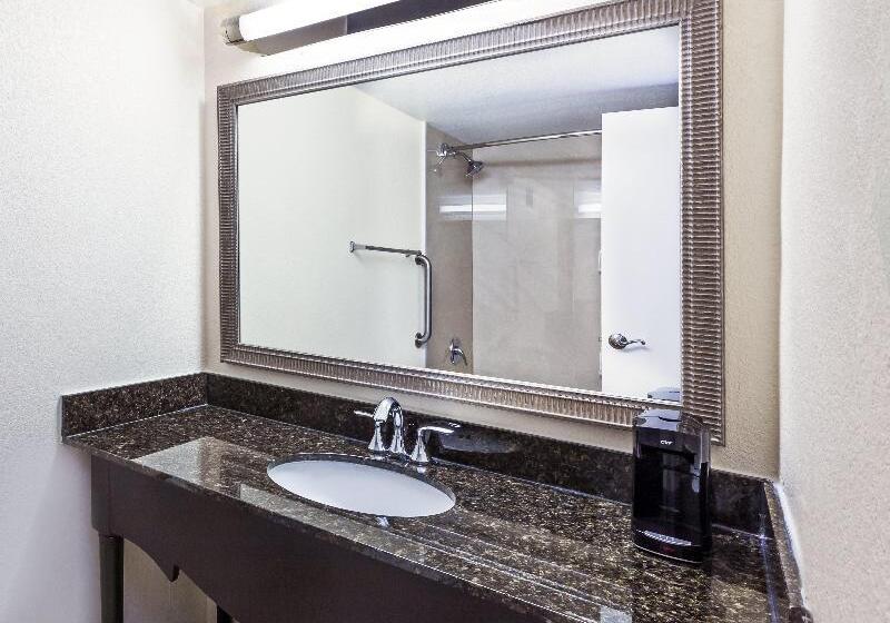 Стандартный Номер Кровать Кинг, Holiday Inn Tyler   Conference Center, An Ihg