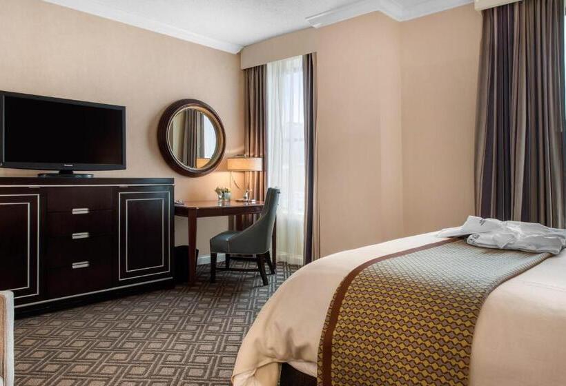 Deluxe Kamer met Kingsize Bed, Omni Severin