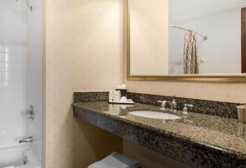 Premium Kamer met Uitzicht op de Stad, Omni Severin