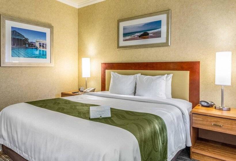 Люкс, Quality Suites Downtown San Luis Obispo