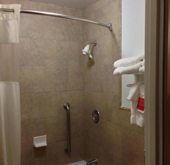 장애인을 위한 킹사이즈 침대 스탠다드 룸, Ramada By Wyndham Fresno North