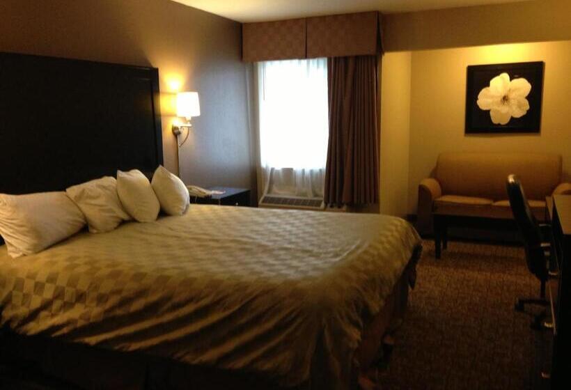 스탠다드 룸 킹사이즈 침대, Ramada By Wyndham Fresno North
