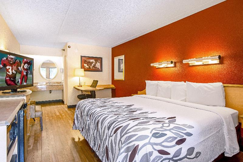 디럭스 룸 킹사이즈 침대, Red Roof Inn Washington Dc  Laurel