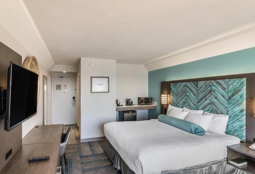 스탠다드 룸 킹사이즈 침대, Crystal Coast Oceanfront