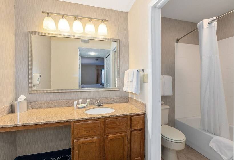 Студия Deluxe, Residences At Daniel Webster