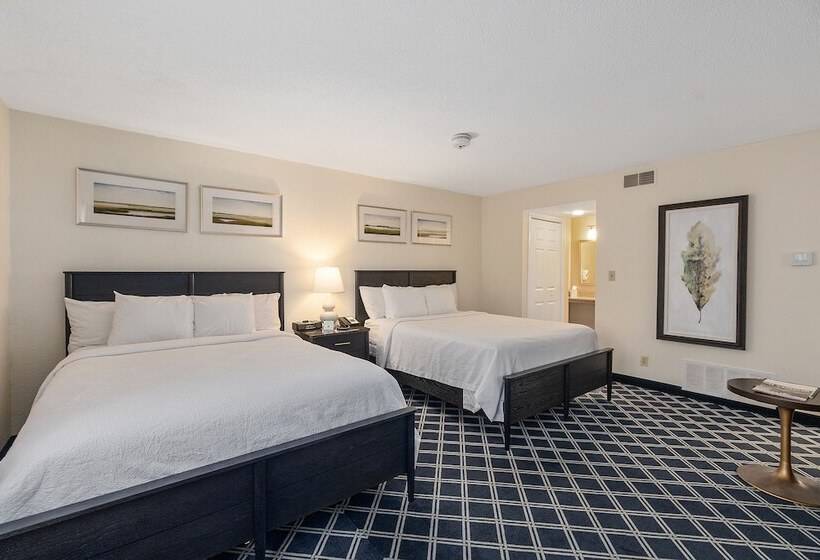 Студия Deluxe, Residences At Daniel Webster
