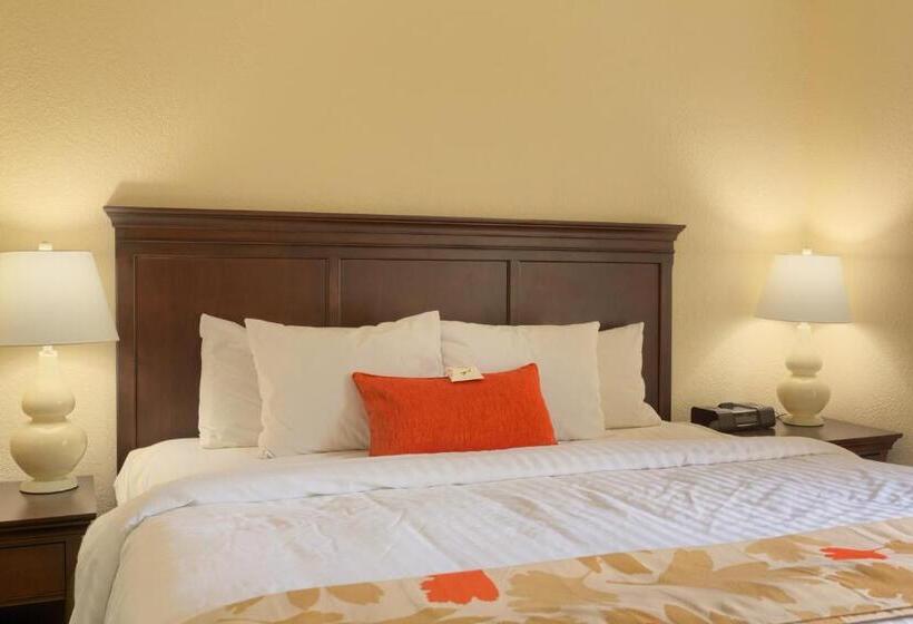 Студия Deluxe, Residences At Daniel Webster