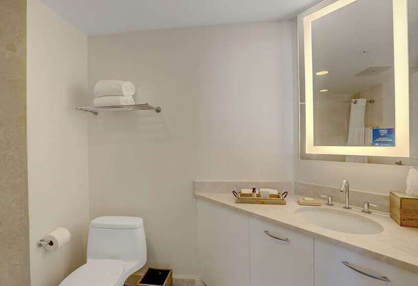 سوئیت با تخت بزرگ, The Luxury Collection Hotel Manhattan Midtown