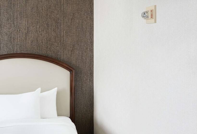带2个双人床的标准工作室, Hilton Atlanta