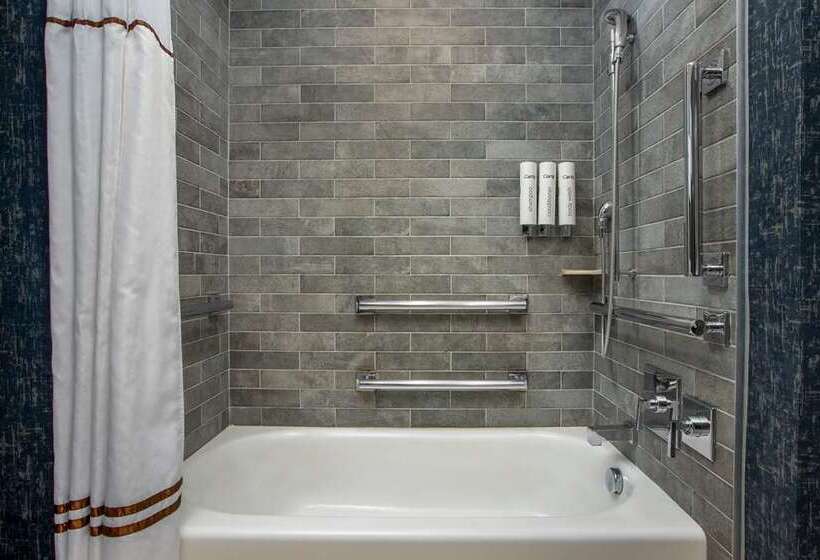 스탠다드 룸 킹사이즈 침대, Hilton St. Louis Frontenac
