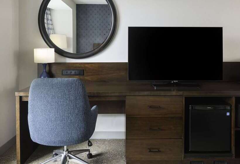 스탠다드 룸 킹사이즈 침대, Hilton St. Louis Frontenac