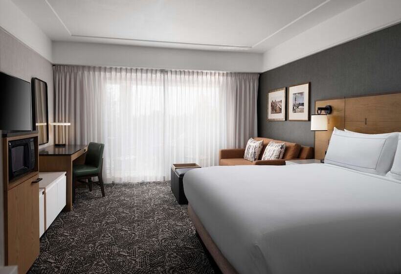 이그제큐티브 룸, Hilton Stockton