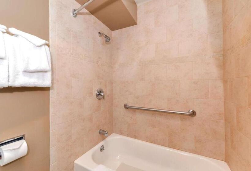 Стандартный Номер Кровать Кинг, Svendsgaard S Lodge  Americas Best Value Inn & Suites