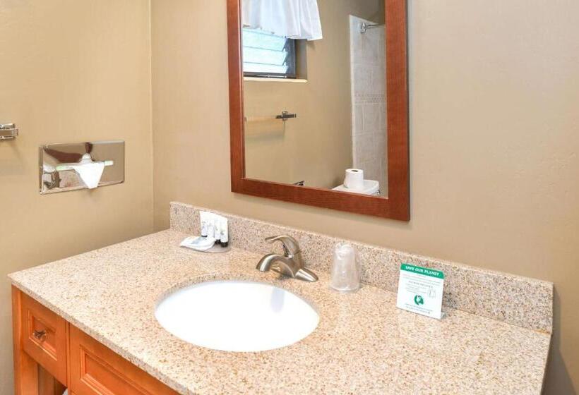 Номер Стандарт, Svendsgaard S Lodge  Americas Best Value Inn & Suites
