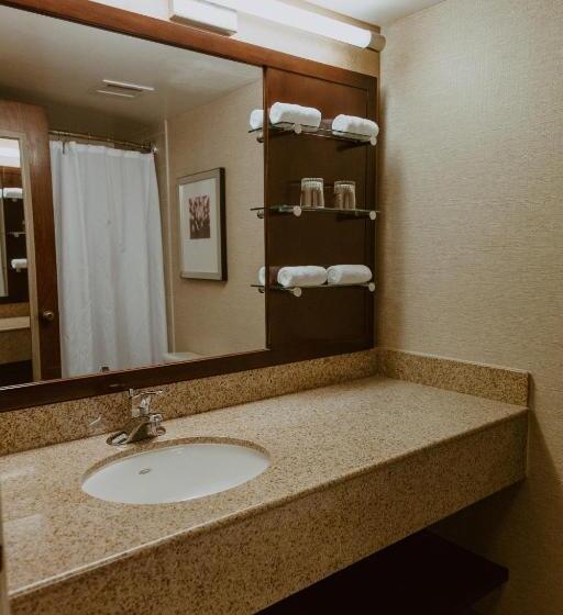 스탠다드 룸 킹사이즈 침대, The Lincoln Marriott Cornhusker