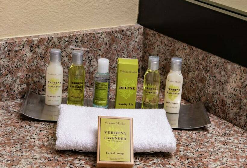 اتاق لوکس, Doubletree By Hilton Hotel Orlando At Seaworld
