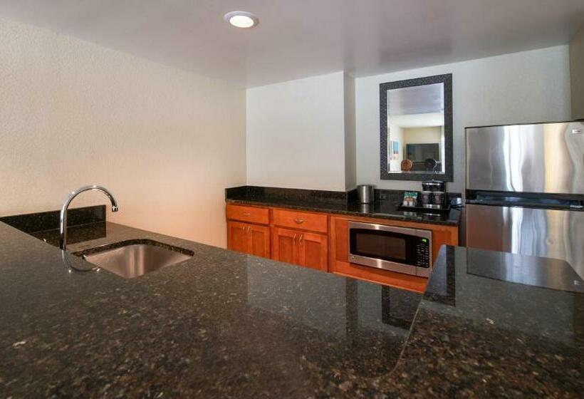 سوئیت با تخت بزرگ, Doubletree By Hilton Hotel Orlando At Seaworld