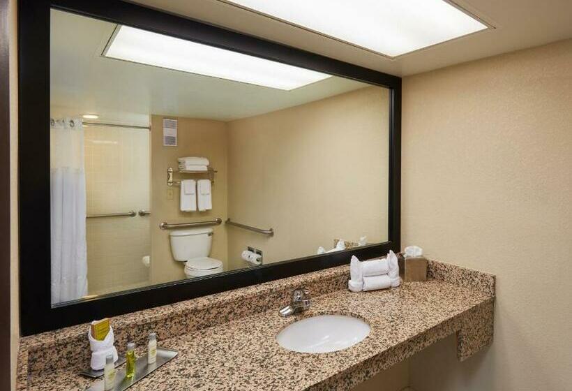اتاق استاندارد با تخت بزرگ, Doubletree By Hilton Hotel Orlando At Seaworld