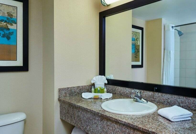 اتاق استاندارد با 2 تخت دوبل, Doubletree By Hilton Hotel Orlando At Seaworld