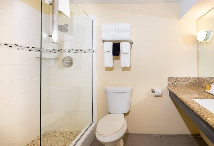 Quarto Superior com Vistas, Caravelle